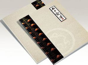 白银VI手册设计 可信赖的 标书制 就在澳博锋